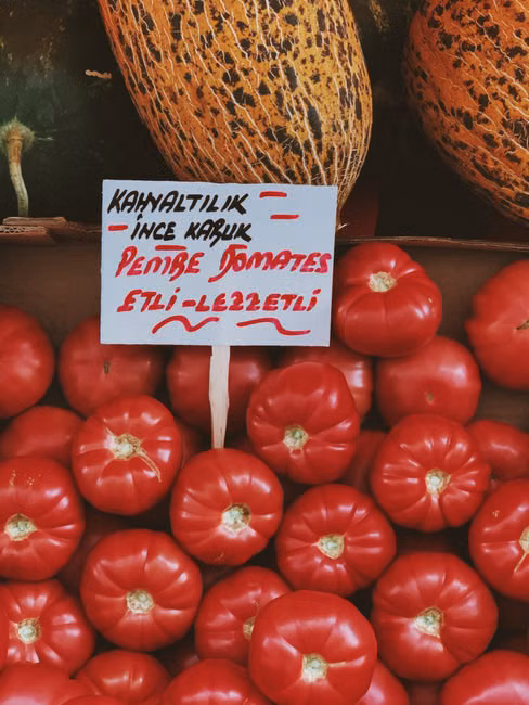 Molho de Tomate (340g)